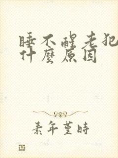 睡不醒老犯困是什么原因