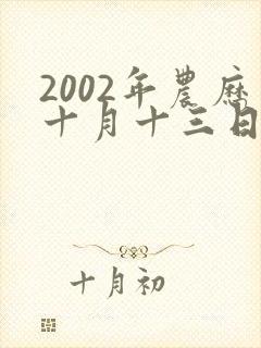 2002年农历十月十三日出生的男孩的命运封面