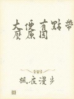 大便有点带血什么原因封面