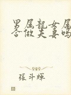 男属龙女属兔适合做夫妻吗