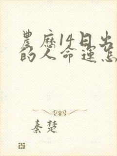 农历14日出生的人命运怎么样