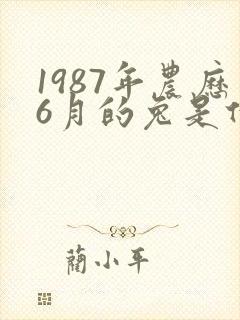 1987年农历6月的兔是什么命