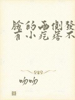 脸的两侧发红还有小疙瘩不痛不痒