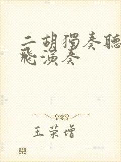 二胡独奏听松宋飞演奏