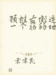 颈椎右侧连肩膀一个筋的地方疼封面