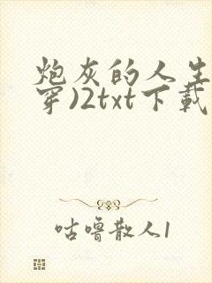 炮灰的人生(快穿)2txt下载