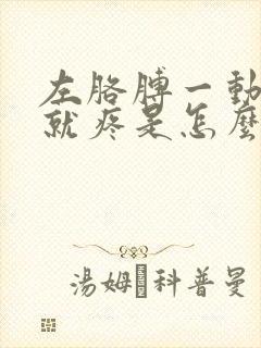 左胳膊一动肩膀就疼是怎么回事