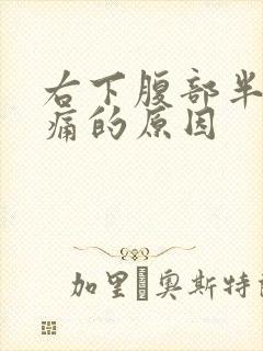 右下腹部半夜隐痛的原因封面