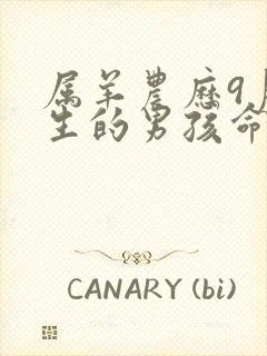 属羊农历9月出生的男孩命运