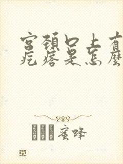 宫颈口上有个小疙瘩是怎么回事