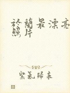 于兰最漂亮三个照片