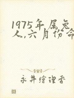 1975年属兔人,六月份命运如何