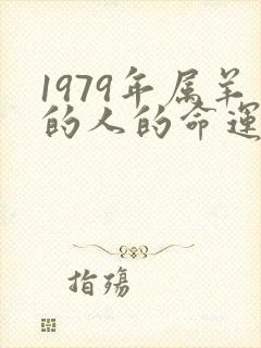 1979年属羊的人的命运怎么样