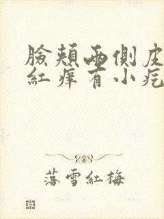 脸颊两侧皮肤发红痒有小疙瘩