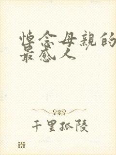 悼念母亲的悼词最感人封面