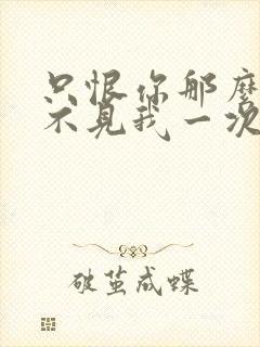 只恨你那么久都不见我一次什么歌