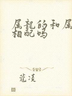 属龙的和属鸡的相配吗
