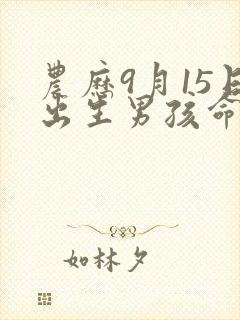 农历9月15日出生男孩命运