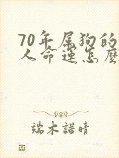 70年属狗的男人命运怎么样封面
