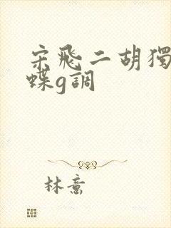 宋飞二胡独奏化蝶g调