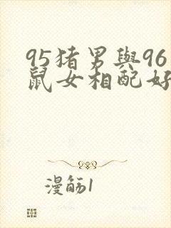 95猪男与96鼠女相配好不好