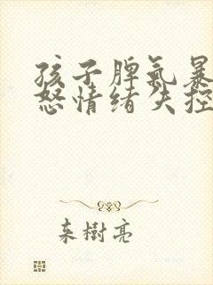 孩子脾气暴躁易怒情绪失控