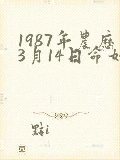 1987年农历3月14日命如何