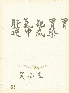 肝气犯胃胃气上逆中成药封面