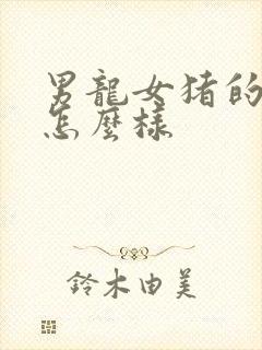 男龙女猪的婚姻怎么样