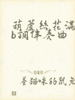 葫芦丝花满楼降b调伴奏曲