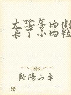 大阴唇内侧突然长了小肉粒封面