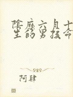 阴历六月十九出生的男孩命运