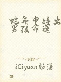 蛇年申时出生的男孩命运