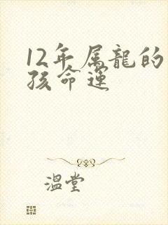 12年属龙的男孩命运