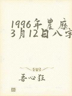 1996年农历3月12日八字