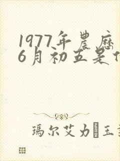 1977年农历6月初五是什么命封面