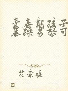 青春期孩子脾气暴躁易怒可以中药调理吗封面