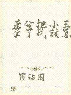 老公把小三搞怀孕了我该怎么办