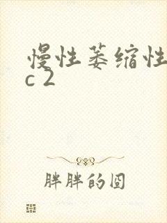 慢性萎缩性胃炎c 2