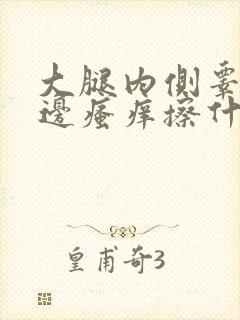 大腿内侧睾丸旁边瘙痒擦什么药膏