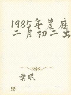 1985年农历二月初二出生是什么命
