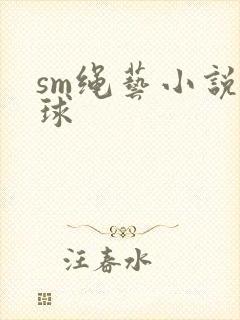 sm绳艺小说口球封面