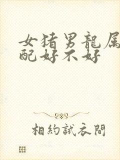 女猪男龙属相婚配好不好封面