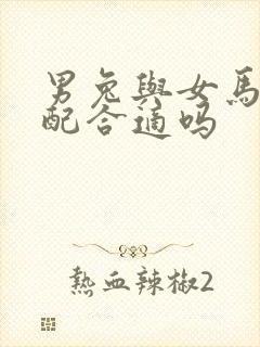 男兔与女马的婚配合适吗封面