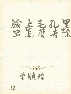 脸上毛孔里的螨虫怎么去除