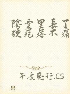 阴囊里长了个小硬疙瘩不痛不痒