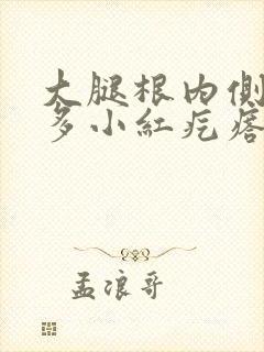 大腿根内侧出好多小红疙瘩很痒封面