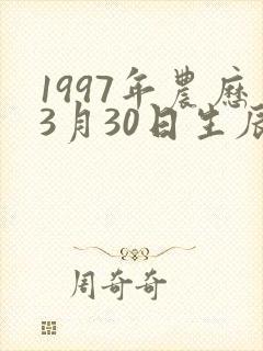 1997年农历3月30日生辰八字