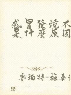 感冒发烧不退烧是什么原因导致的