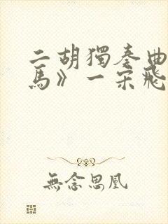 二胡独奏曲《赛马》一宋飞